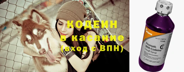ECSTASY Алзамай