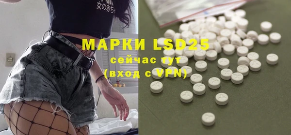ECSTASY Алзамай