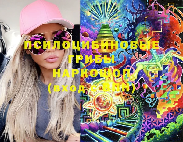ECSTASY Алзамай
