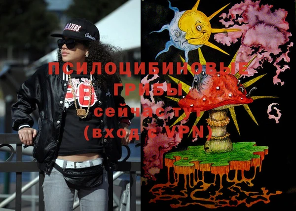 ECSTASY Алзамай