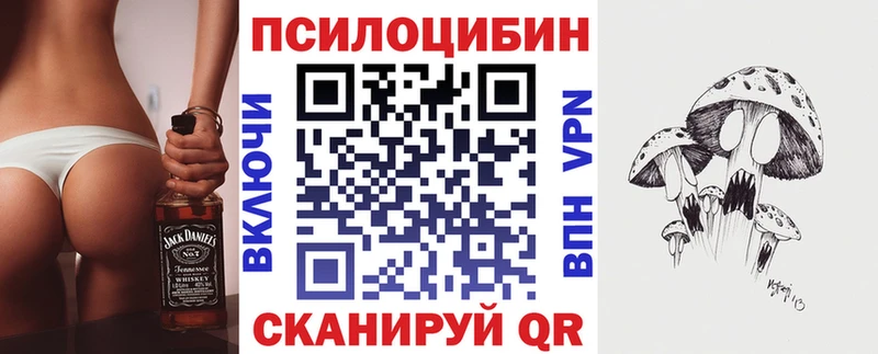 где купить наркотик  OMG ссылка  Псилоцибиновые грибы Psilocybe  Сосенский 